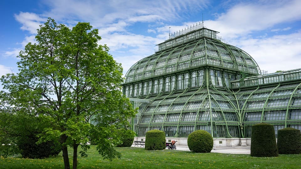 Psychologie studieren in Wien-Palmenhaus Schönbrunn-Mymorize