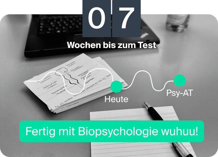 Psychologie Aufnahmetest Erfahrungen_mymorize begleitet Caro- noch 7 Wochen bis zum Test